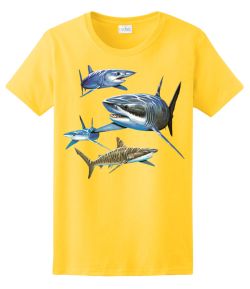 Sharks Ladies Tee