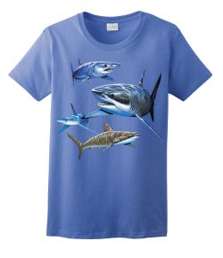 Sharks Ladies Tee