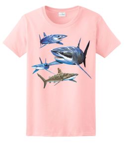 Sharks Ladies Tee