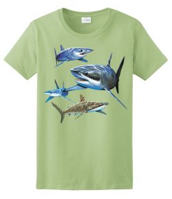 Sharks Ladies Tee