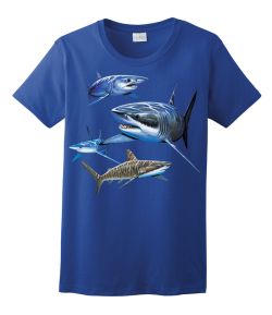 Sharks Ladies Tee