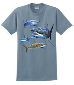 Sharks T-Shirt