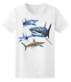 Sharks Ladies Tee