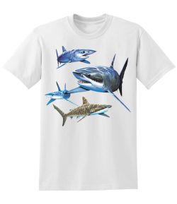 Sharks 50/50 Tee