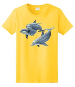 Three Dolphins Ladies Tee