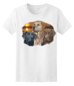 Sunset Labrador Retrievers Ladies Tee