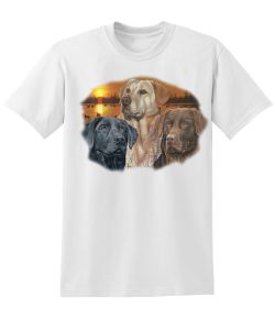 Sunset Labrador Retrievers 50/50 Tee