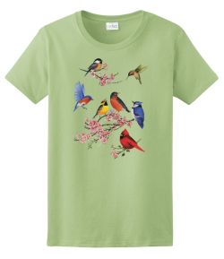 Songbirds of America Ladies Tee