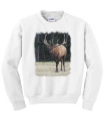 Other Big Game Sweatshirts