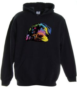 Lying Lab by Russo Pullover Hooded Sweatshirt