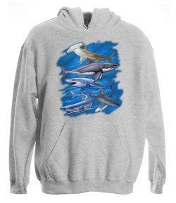 Assorted Sharks Pullover Hooded Sweatshirt