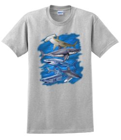 Assorted Sharks T-Shirt