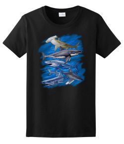 Assorted Sharks Ladies Tee