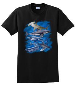 Assorted Sharks T-Shirt