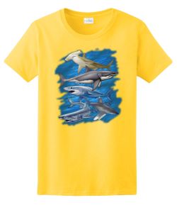 Assorted Sharks Ladies Tee