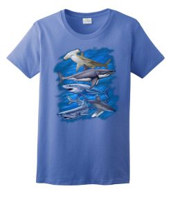 Assorted Sharks Ladies Tee