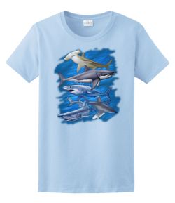 Assorted Sharks Ladies Tee