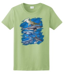 Assorted Sharks Ladies Tee