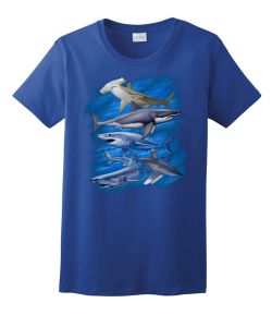 Assorted Sharks Ladies Tee