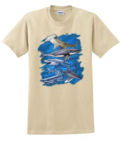 Assorted Sharks T-Shirt