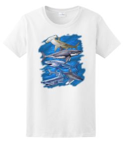 Assorted Sharks Ladies Tee