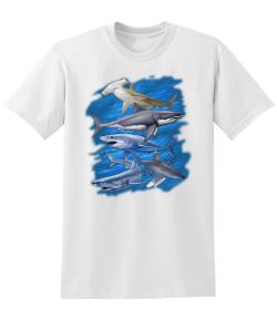 Assorted Sharks 50/50 Tee