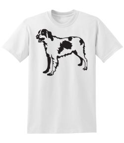 Brittany Spaniel 2 ...