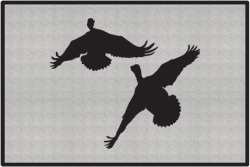 Jukin' Five Ducks Silhouette Door Mats