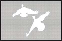 Jukin' Five Ducks Silhouette Door Mats