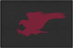Terrible Talons Eagle Silhouette Door Mats