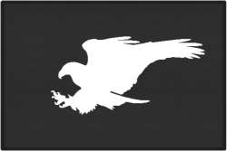 Terrible Talons Eagle Silhouette Door Mats