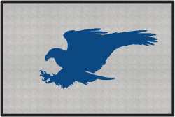 Terrible Talons Eagle Silhouette Door Mats