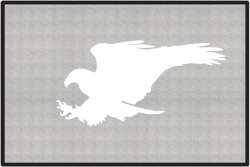 Terrible Talons Eagle Silhouette Door Mats