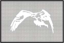 Sea Hawk Eagle Silhouette Door Mats