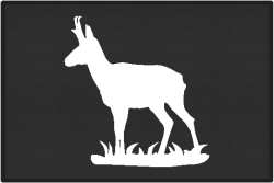 Pronghorn Antelope Silhouette Door Mats