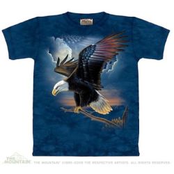 The Patriot Kids T-Shirt from The Mountain