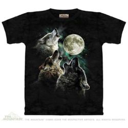 Three Wolf Moon T-S...