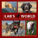 It'S A Lab'S World