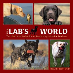 It'S A Lab'S World