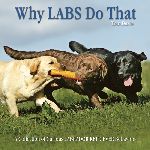 Why Labs Do That