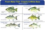 Crappie & White Bas...