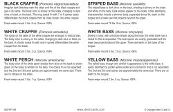 crappie white bass card
