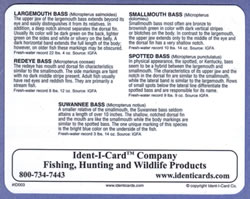 Bass Family Ident-I-Card - Waterproof Freshwater Fish Identification Card