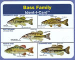 Bass Family Ident-I-Card - Waterproof Freshwater Fish Identification Card