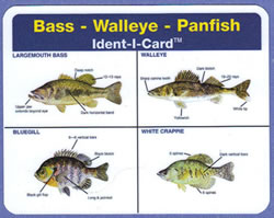 Bass - Walleye - Panfish Ident-I-Card - Waterproof Freshwater Fish Identification Card