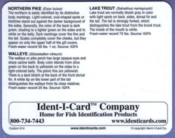 Game Fish of Northern Lakes Ident-I-Card - Waterproof Freshwater Fish Identification Card