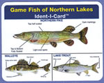 Game Fish of Northern Lakes Ident-I-Card - Waterproof Freshwater Fish Identification Card