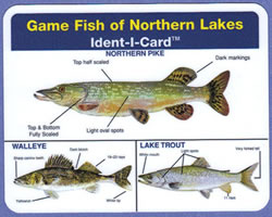 Game Fish of Northern Lakes Ident-I-Card - Waterproof Freshwater Fish Identification Card