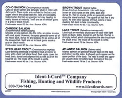 Great Lakes Salmon & Trout Ident-I-Card - Waterproof Freshwater Fish Identification Card