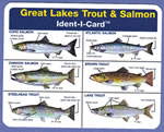Great Lakes Salmon & Trout Ident-I-Card - Waterproof Freshwater Fish Identification Card